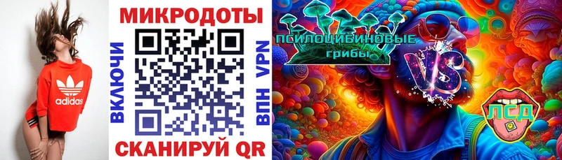 blacksprut ссылка  Коммунар  Псилоцибиновые грибы GOLDEN TEACHER 